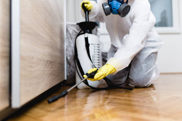 Best Pest Prevention Services  in Dulles Town Center, VA
