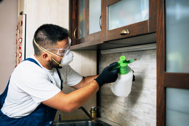 Best Best Pest Control Companies  in Dulles Town Center, VA
