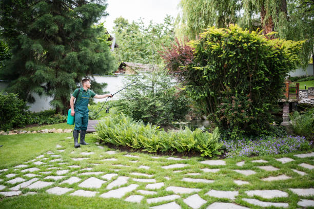 Best Mosquito Control Services  in Dulles Town Center, VA