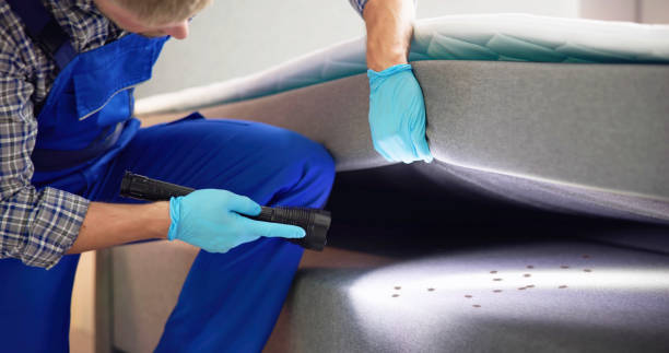 Best Affordable Pest Control Services  in Dulles Town Center, VA